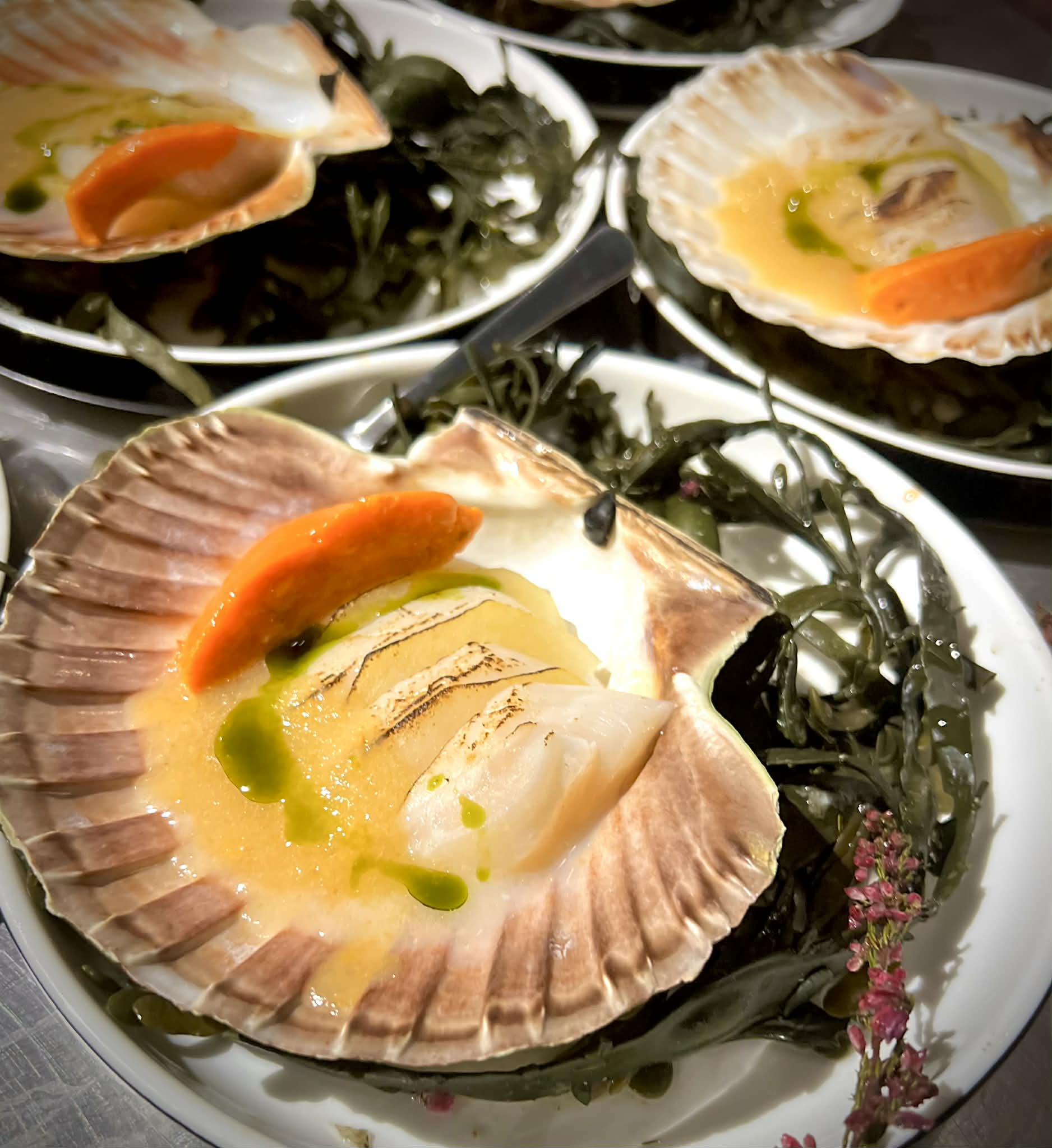 Kohti on väga piiratud arv! 
The post Elamusõhtu Dirhamis 04.04 kl 15 ja kl 18:30 appeared first on DIRHAMI SADAM.